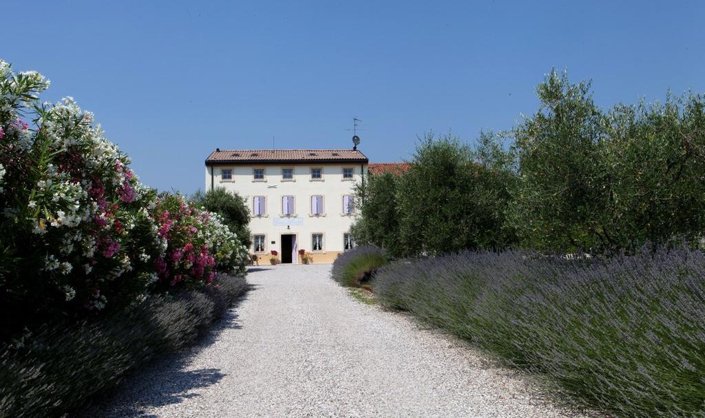 Agriturismo Casa Aurora Bussolengo Exterior foto