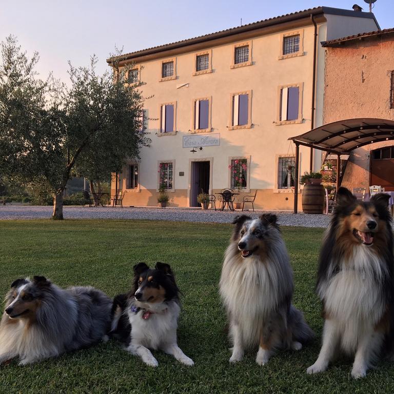 Agriturismo Casa Aurora Bussolengo Exterior foto